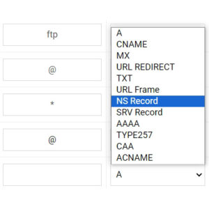 Bản ghi NS Record của tên miền