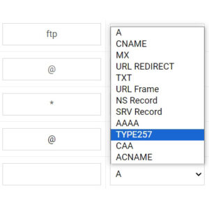Bản ghi TYPE257 của tên miền