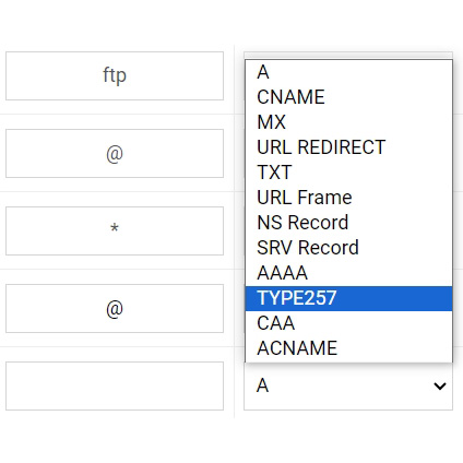 Bản ghi TYPE257 của tên miền