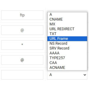 Bản ghi URL Frame của tên miền