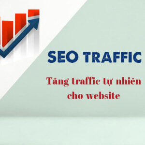 Làm thế nào để tăng Traffic cho website một cách tự nhiên?